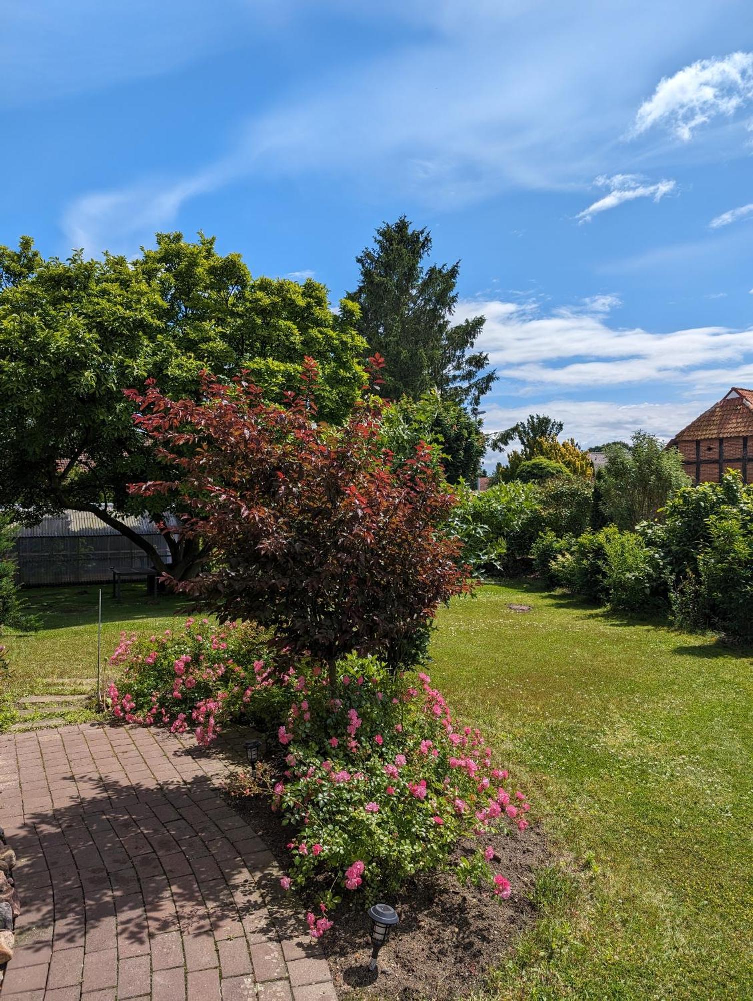 Ferienwohnung Bullersberg Balge Luaran gambar